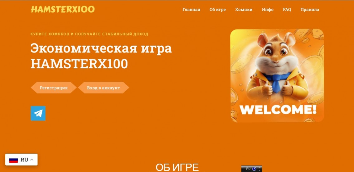 Hamsterx100